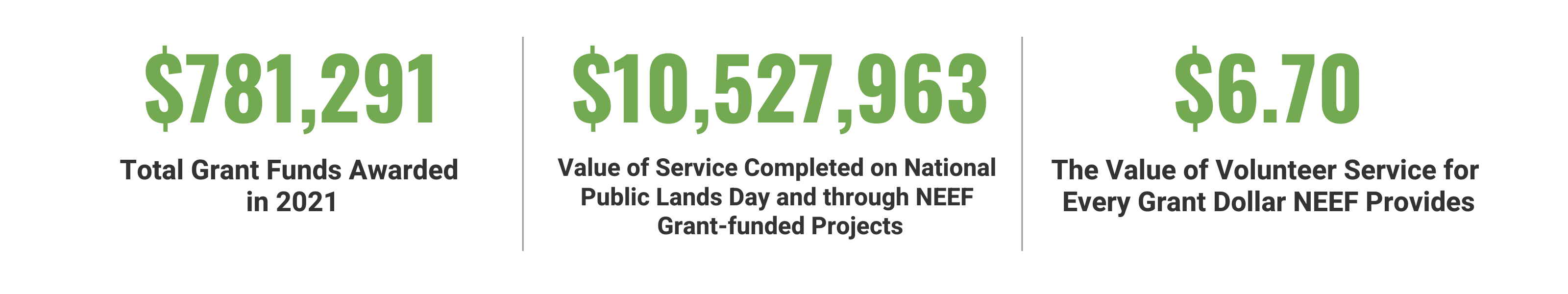 NEEF 2021 Grant impact numbers
