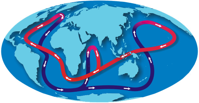 The global ocean conveyor belt