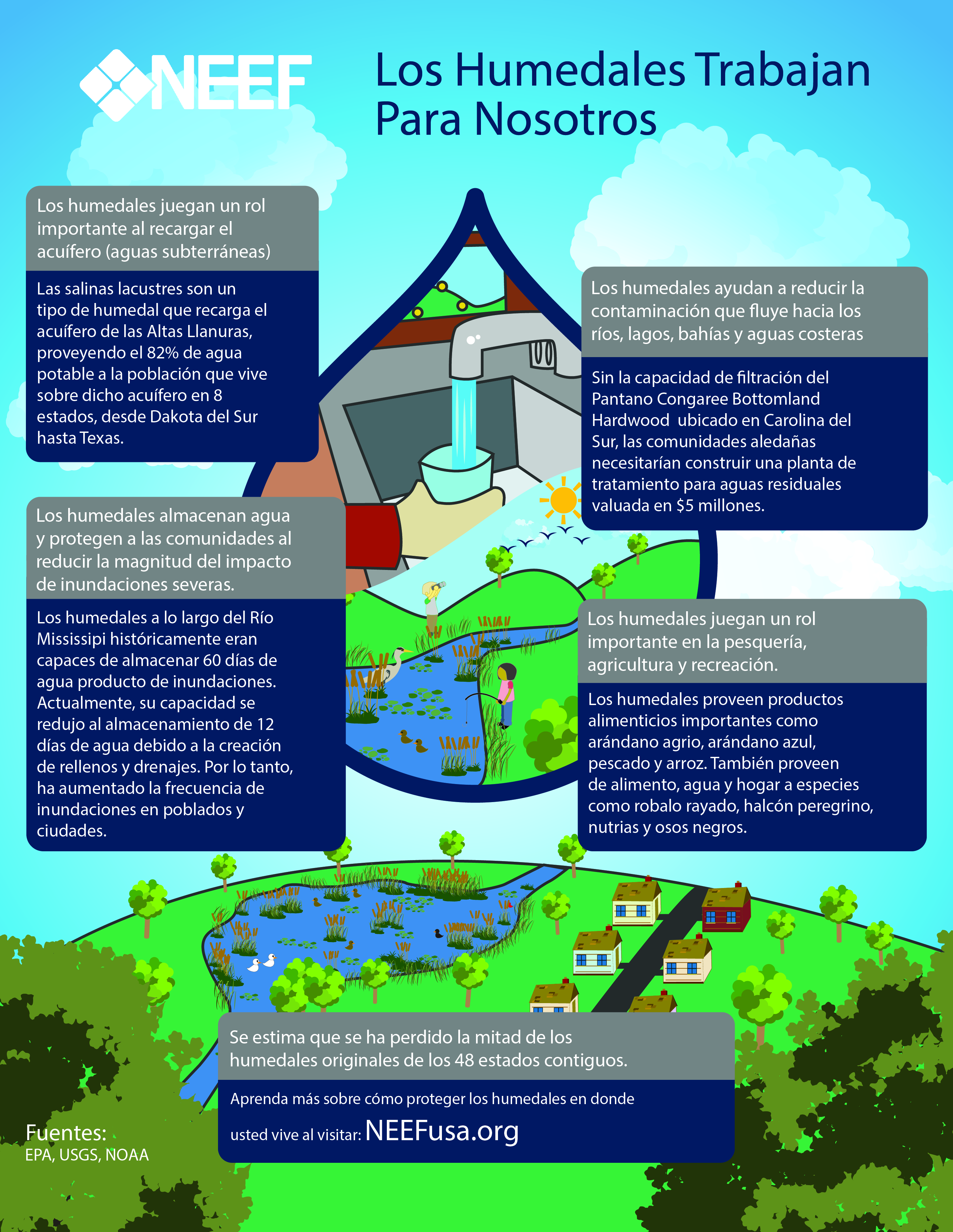 Infográfico: Los Humedales Trabajan Para Nosotros