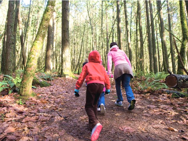 a child and an adult walk in the woods
