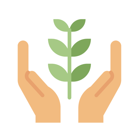 Hands holding plant