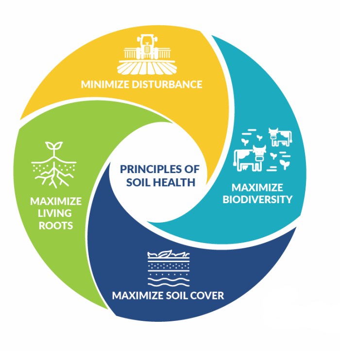 Four Principles of Soil Health: Maximize Presence of Living Roots, Minimize Disturbance, Maximize Soil Cover, Maximize Biodiversity