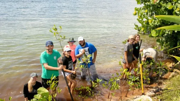 a group of young adults plants mangroves for shoreline conservation