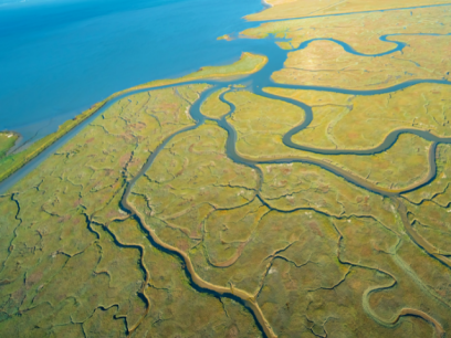 Image of green and blue estuary