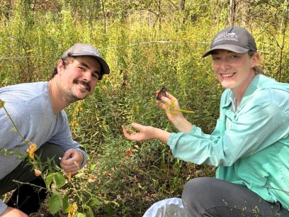 a woman holds a Monarch butterfly that has been tagged with a fellow volunteer