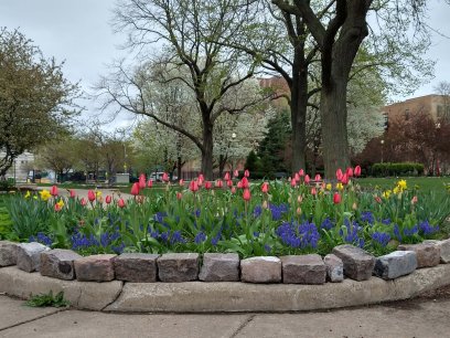 Flower Bed located in the ornamental flower garden of Loomis St. Community Garden