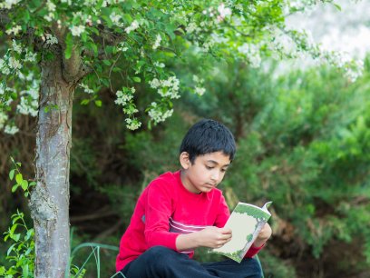 Kid reading by tree