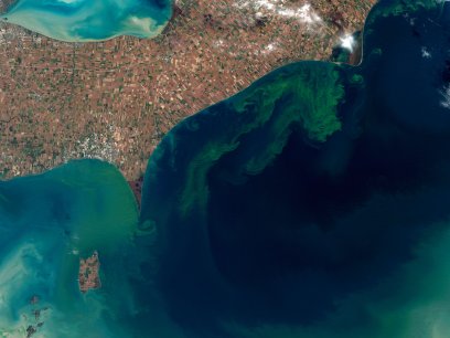 Algal bloom in Lake Erie