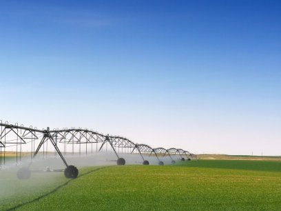 Crop irrigation