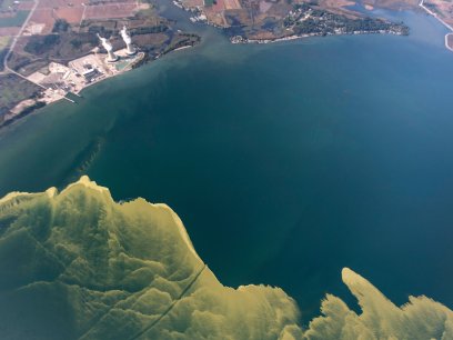 Algal bloom in Lake Erie