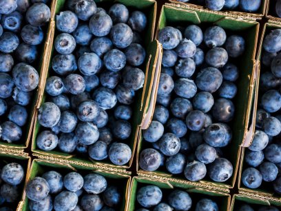 Boxes of blueberries