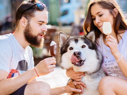 Couple eating ice cream with their dog