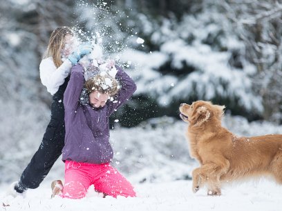 Kids playing in the snow with their dog