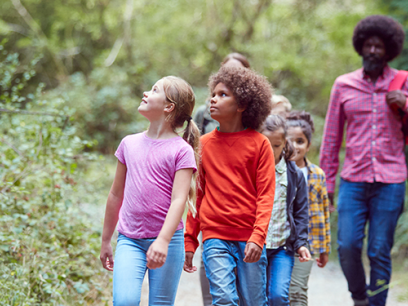 Male teacher walking with students in the forest while they look up at the trees