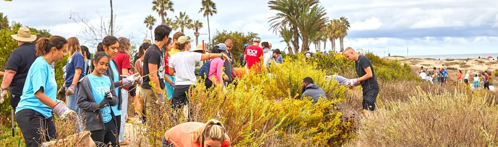 a diverse group of people volunteering as part of environmental education on public lands