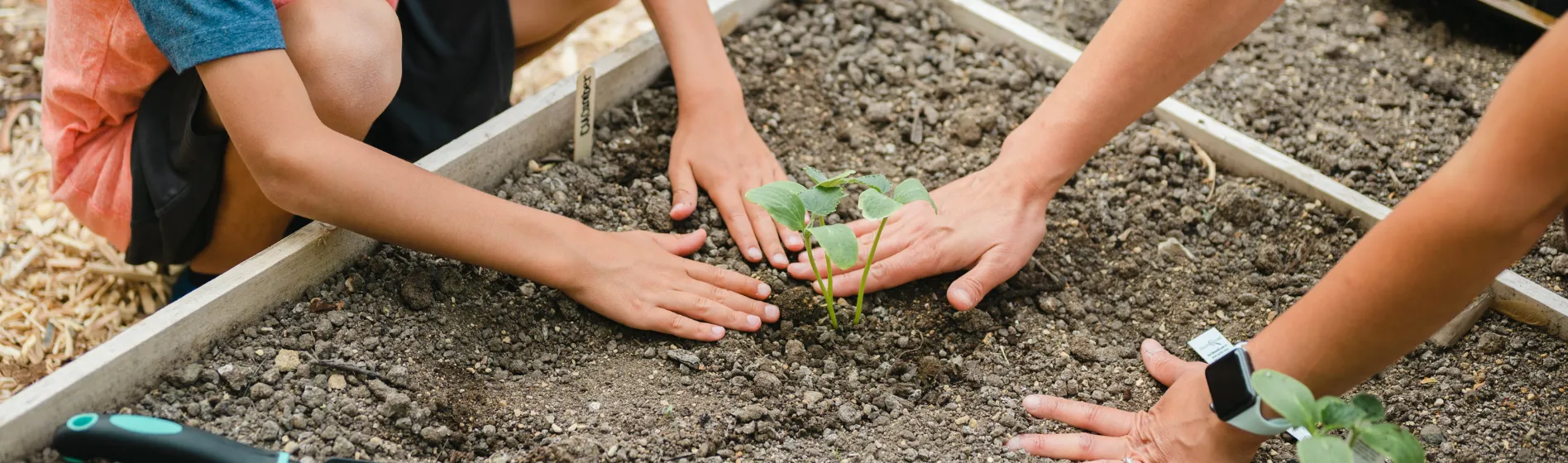 An adult and child planting a tree