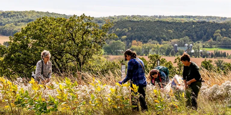 a group of women in a field collect seeds from native plants while volunteering on national public lands day