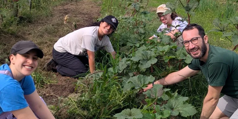 NPLD volunteers pulling weeds at Sankofa Community Farm at Bartram's Garden