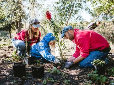 a young girl plants a tree with her mother and father during National Public Lands Day