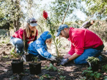 a young family plants a tree together