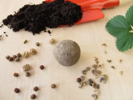 a seed ball surrounded by dirt and seeds