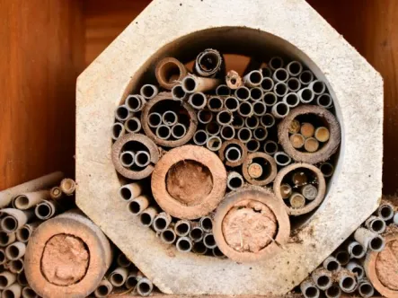 a pile of natural wood tubes are stacked together to form a bee hotel