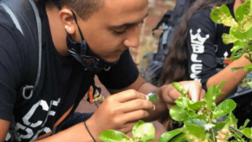 photo of male student inspecting plants with magnifying glass