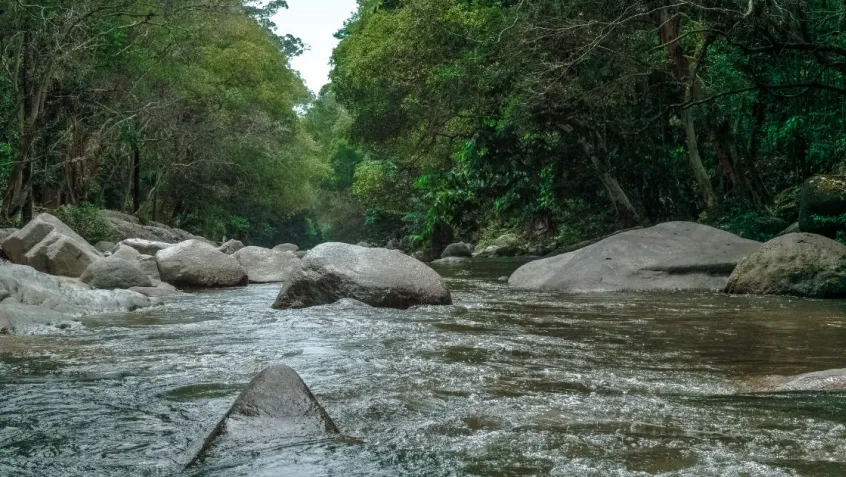 photo of a freshwater river running over rocks