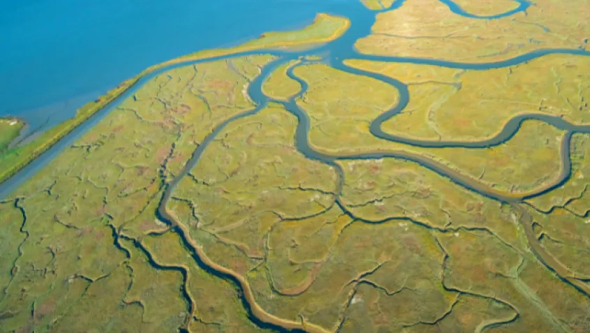 Image of green and blue estuary