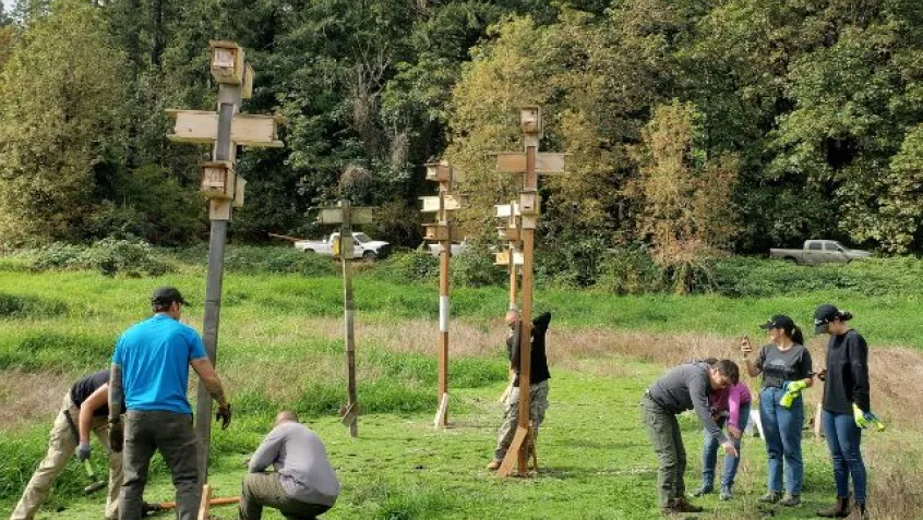 NPLD participants installing western purple martin towers in an ephemeral wetland