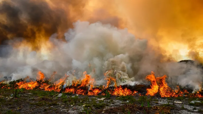 A raging wildfire with plumes of smoke