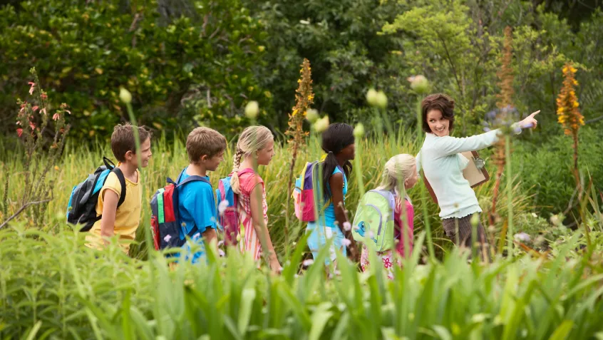 A teacher leads a diverse group of children through an overgrown meadow, pointing out something in the distance