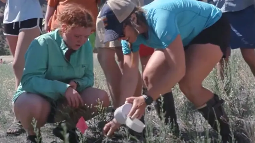 Student and educator outdoors looking at plants