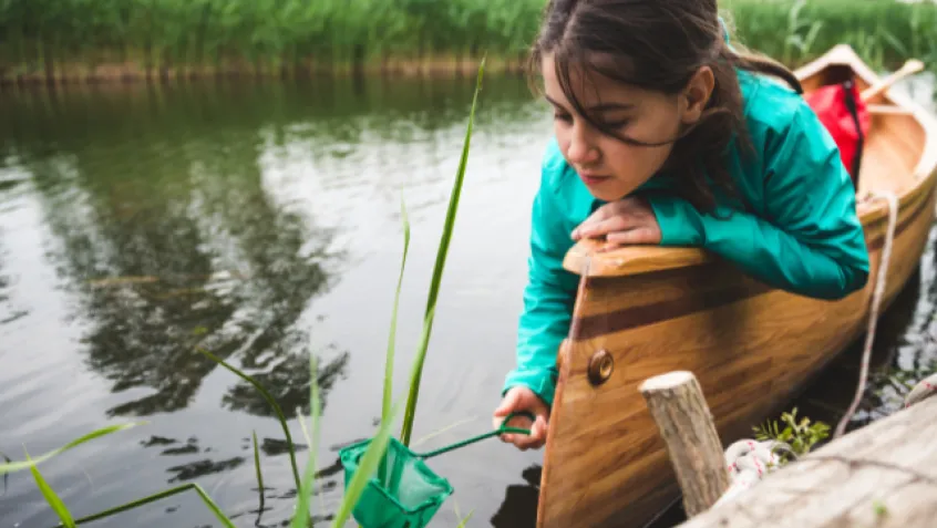 A young girl leans out of a canoe while using a net to scoop something out of a pond