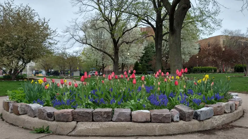 Flower Bed located in the ornamental flower garden of Loomis St. Community Garden