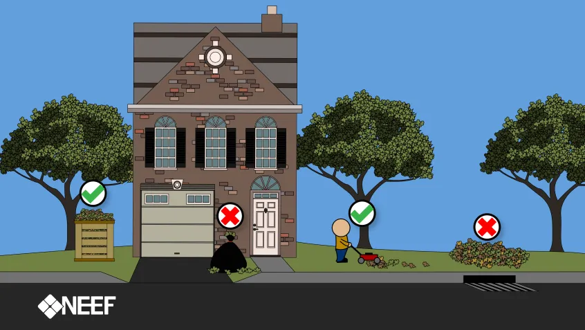 Infographic demonstrates the dos and don'ts of dealing with autumn leaves