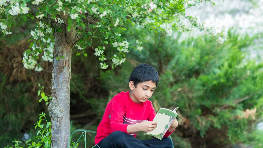 Kid reading by tree