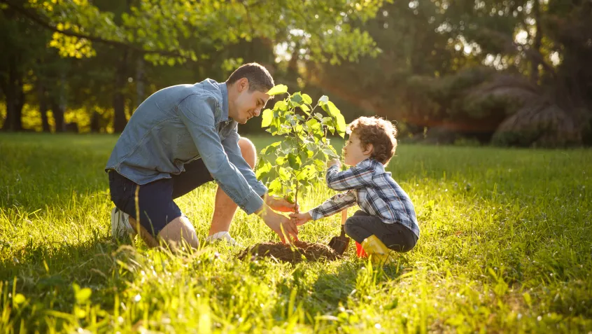 Parent and child planting tree