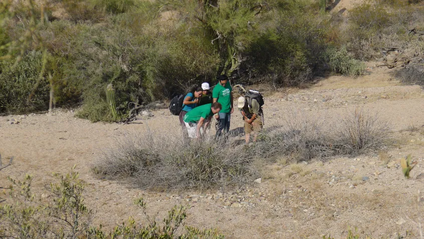 Citizen scientists at Saguaro National Park