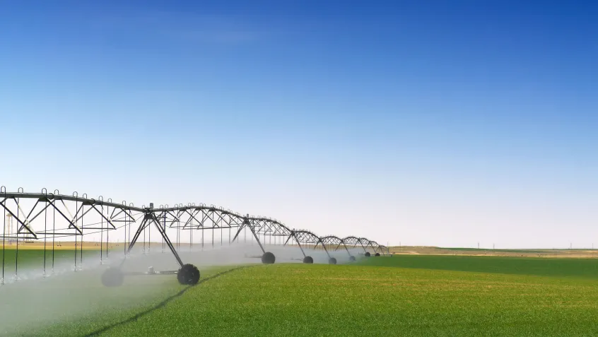 Crop irrigation