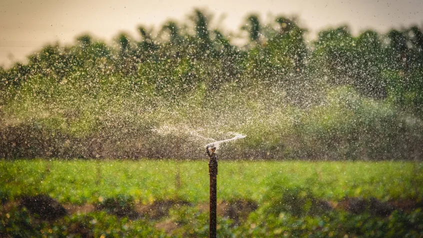 Water sprinkler system