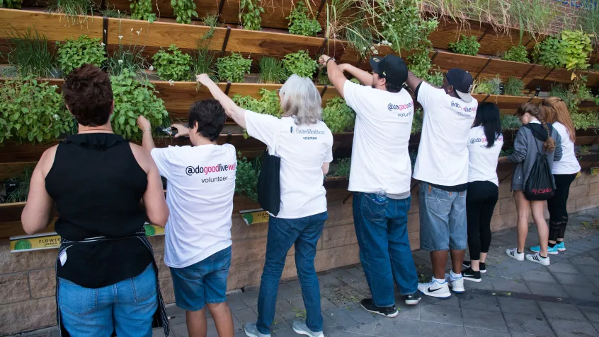 People working at the sustainable garden at the Arizona Diamondbacks stadium
