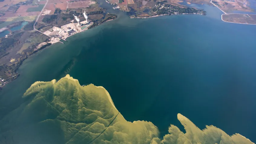 Algal bloom in Lake Erie