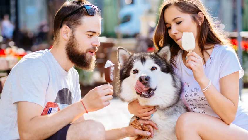 Couple eating ice cream with their dog