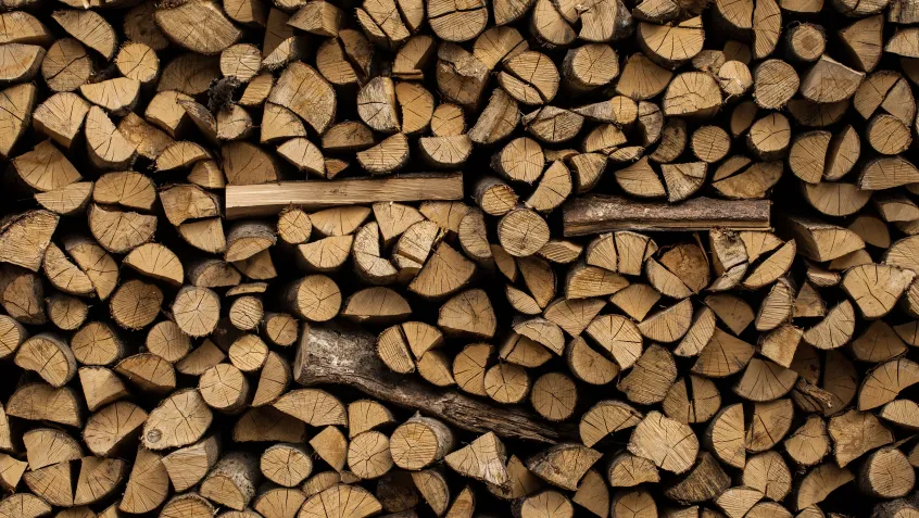 Stacks of fire wood