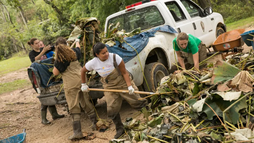 Kenilworth volunteers cleaning