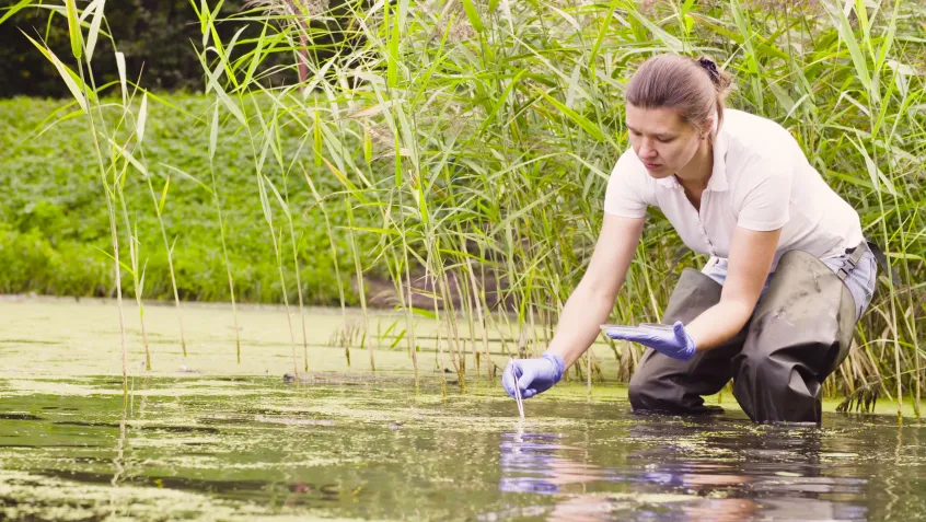 Ecologist at a riverbank