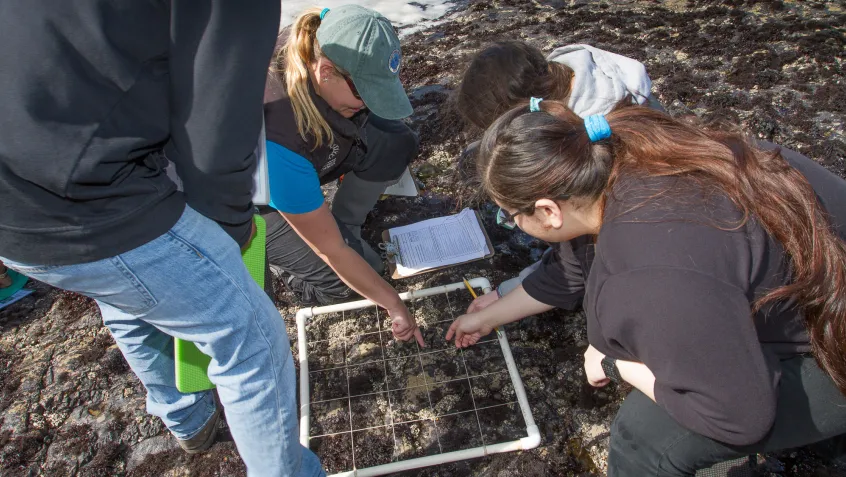 Monka Krach shows students from June Jordan High School how to use a quadrat