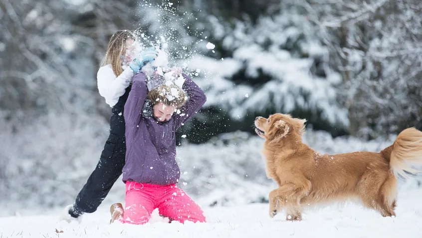 Kids playing in the snow with their dog
