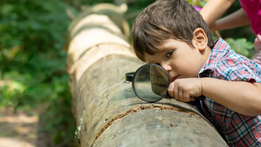 Kid observing log